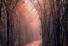 天涯论坛护肤秘籍大揭秘