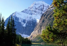 天涯论坛护肤秘籍大揭秘